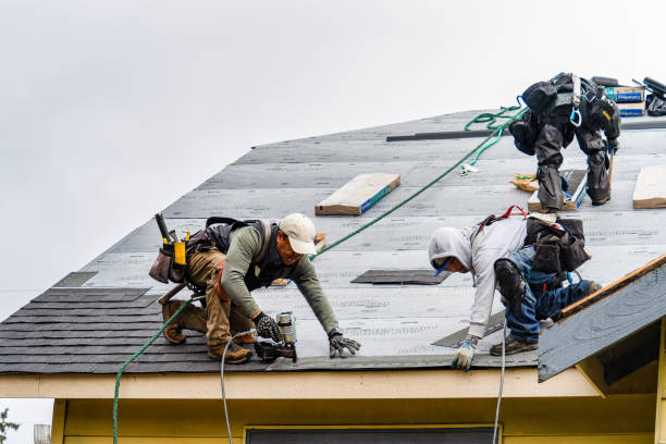 Professional Storm Damage Roof Repair technician working in South Bend, WA